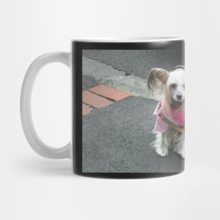 Pleeeease, take me home?? Mug